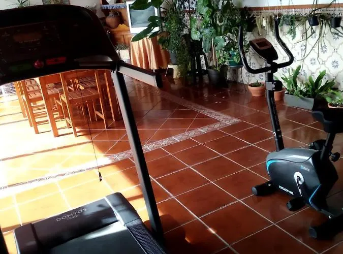 Your Eco & Casa de Férias Carvide